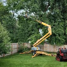 Best Pest Control for Lawns  in Endicott, NY